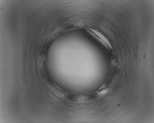 X0000073490229200608211658