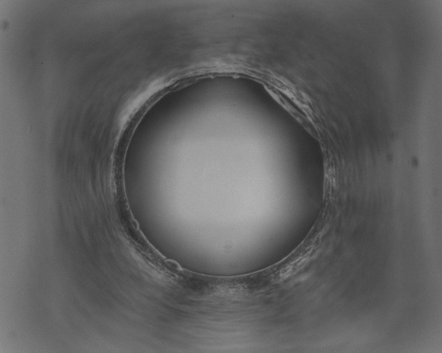 X0000073490248200608211657