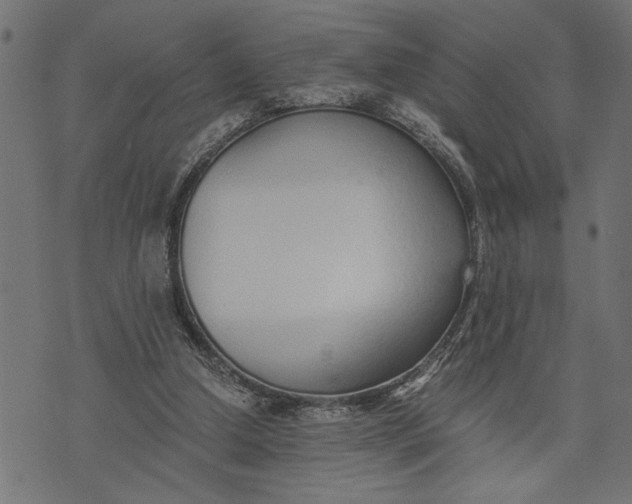 X0000073490250200608211657