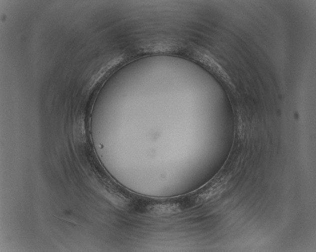X0000073490251200608211657