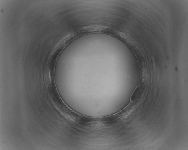 X0000073490254200608211657