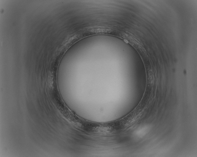 X0000073490255200608211657