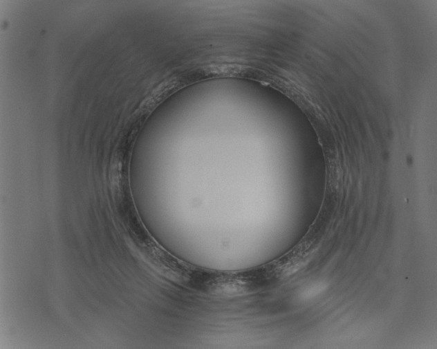 X0000073490263200608211657