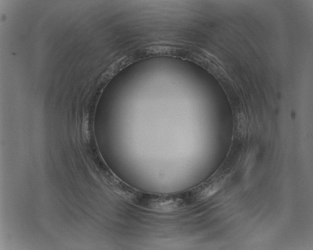 X0000073490267200608211657