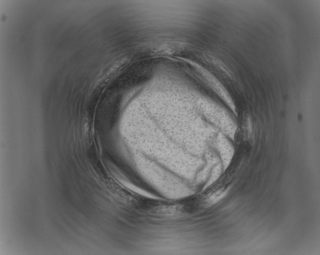 X0000073490314200608211656