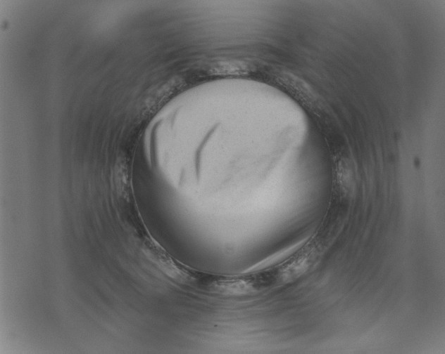 X0000073490322200608211656