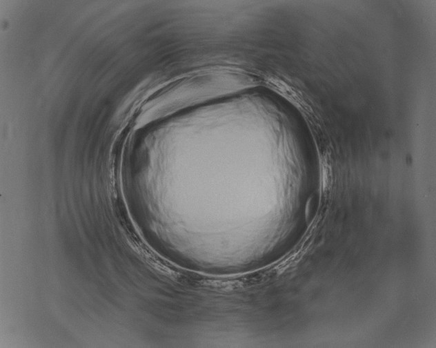 X0000073490339200608211655