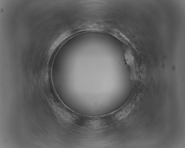 X0000073490344200608211655