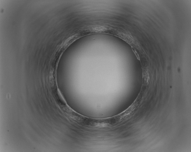 X0000073490360200608211655