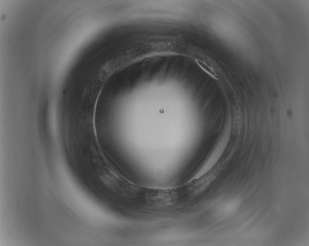 X0000073490383200608211656