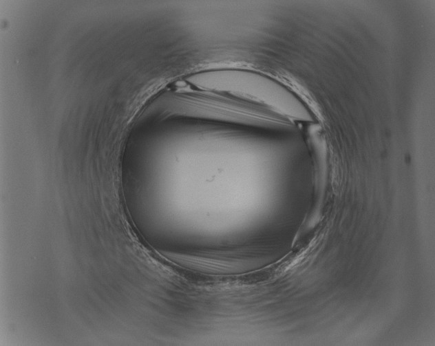 X0000073490385200608211655