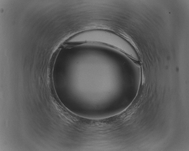 X0000073490387200608211655