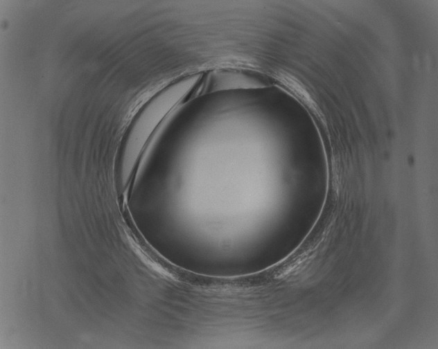 X0000073490389200608211655