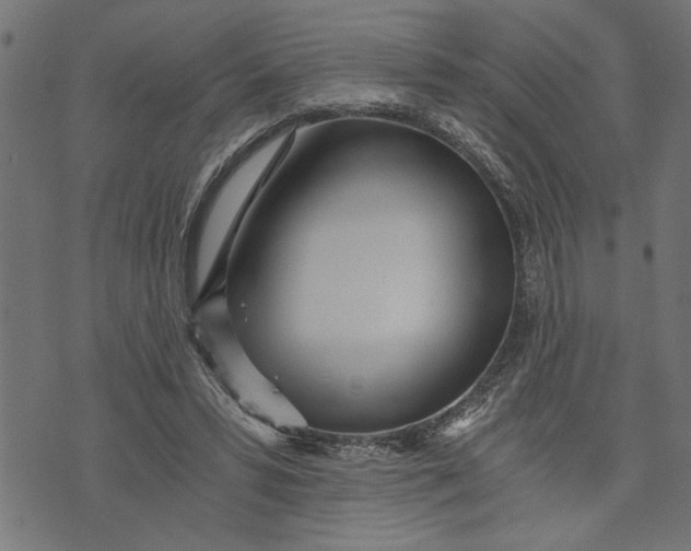 X0000073490399200608211655