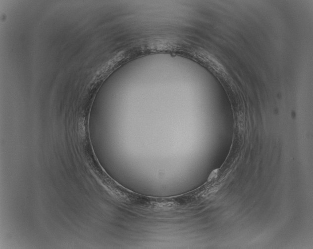 X0000073490401200608211655