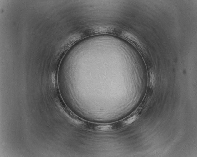 X0000073490410200608211655