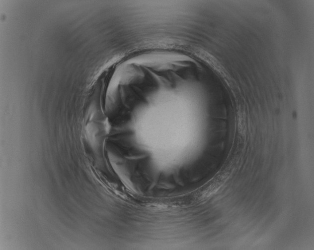 X0000073490434200608211653