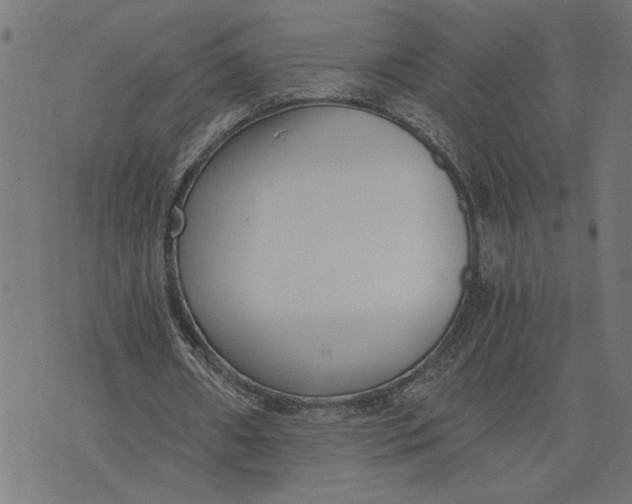 X0000073490482200608211653