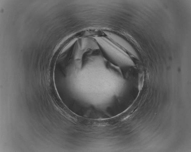 X0000073490484200608211653