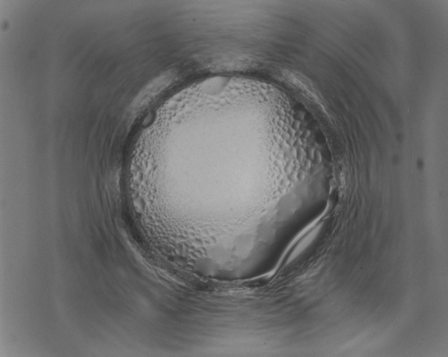 X0000073490491200608211653