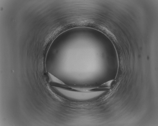 X0000073490493200608211653