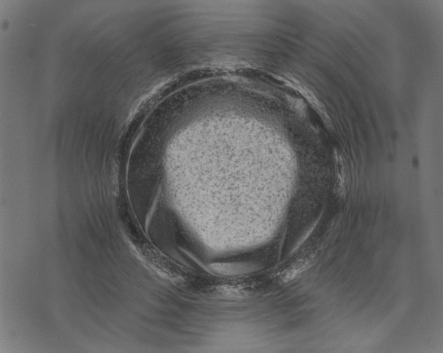 X0000073490496200608211653