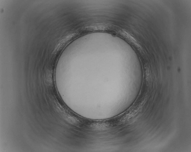 X0000073490537200608211652