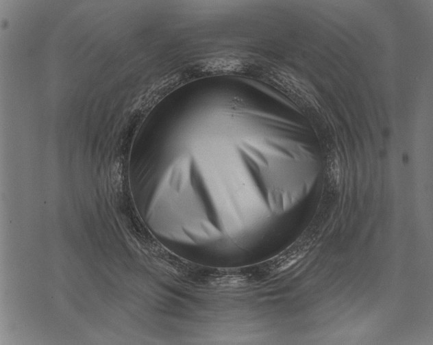 X0000073490551200608211652