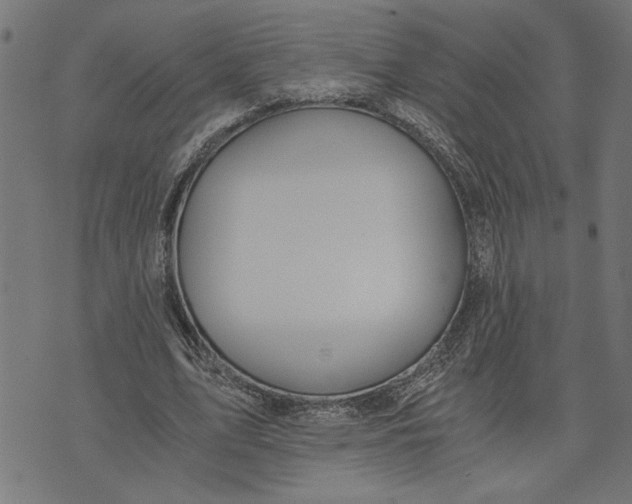 X0000073490583200608211652