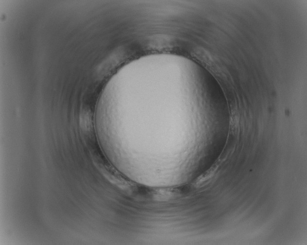 X0000073490623200608211651