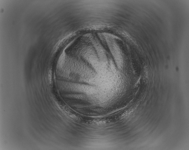 X0000073490640200608211651