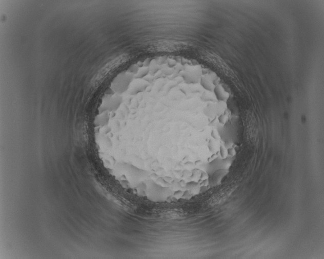 X0000073490683200608211650