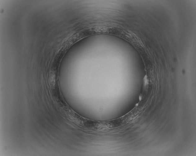X0000073490697200608211650