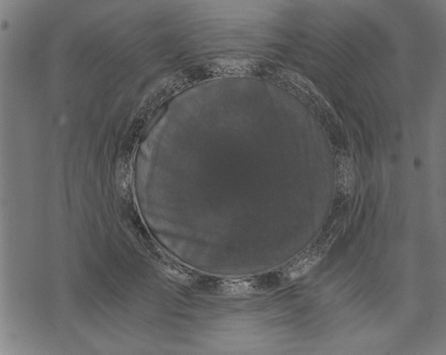 X0000073490701200608211650