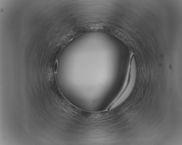 X0000073490704200608211650