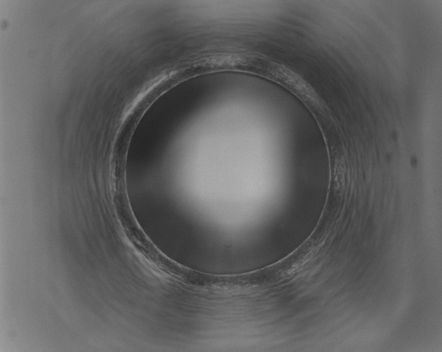 X0000073490722200608211649