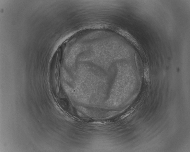 X0000073490724200608211649