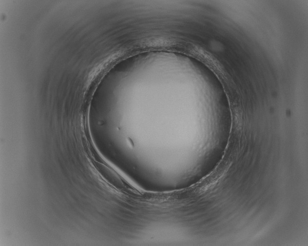 X0000073490725200608211649