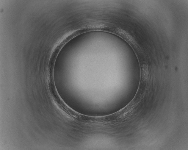 X0000073490726200608211649