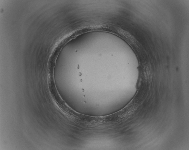 X0000073490728200608211649