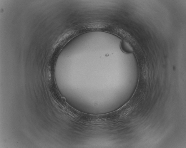 X0000073490731200608211649