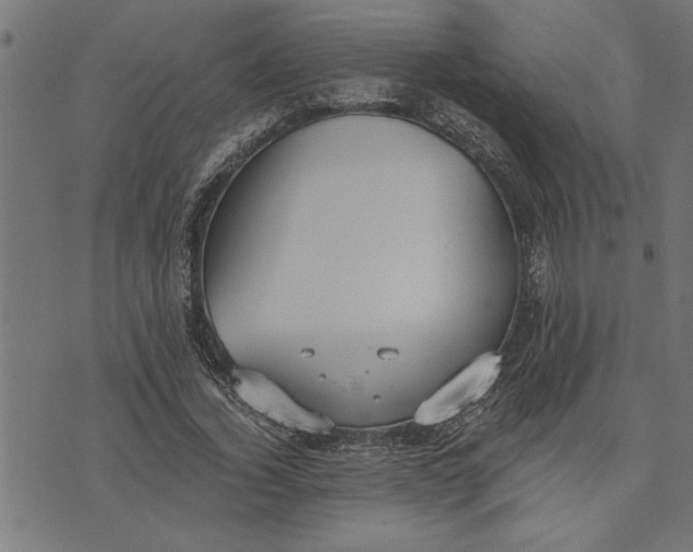 X0000073490732200608211649