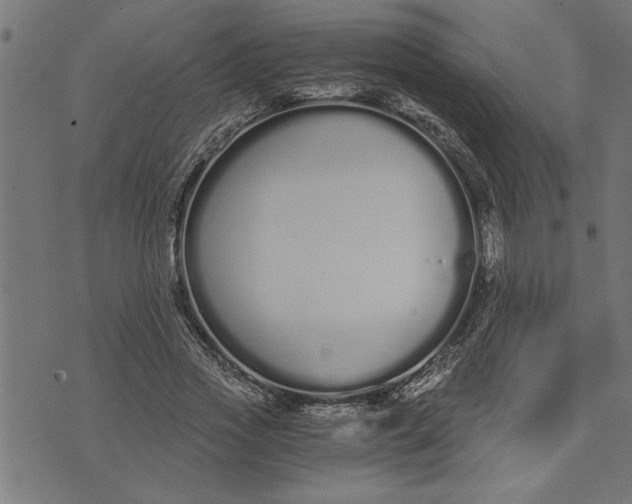 X0000073490733200608211649