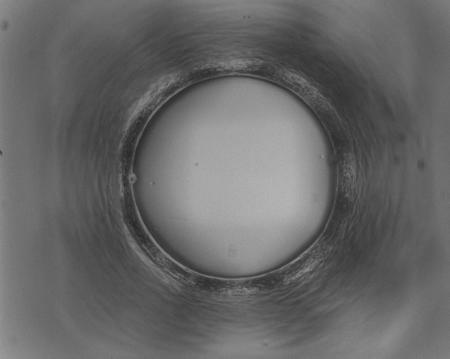 X0000073490734200608211649