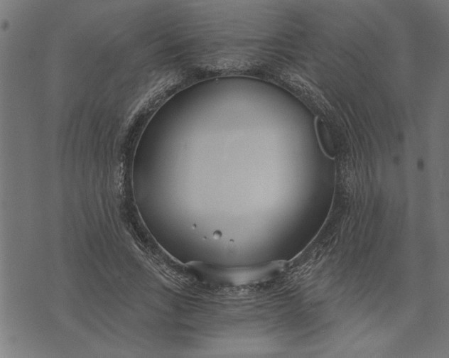 X0000073490735200608211649