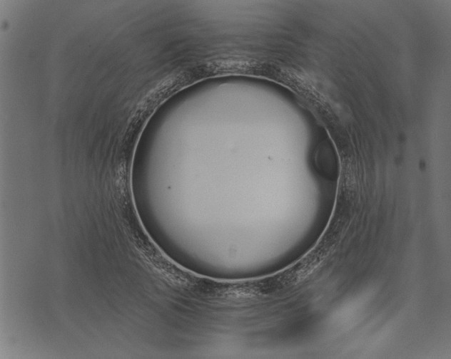 X0000073490737200608211649