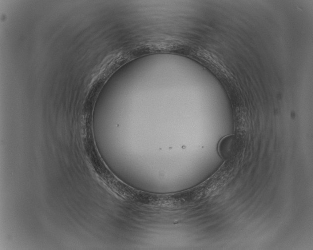 X0000073490738200608211649