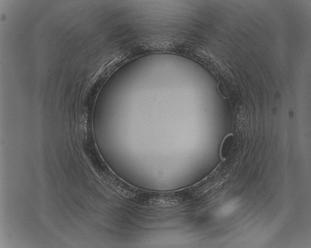 X0000073490739200608211649