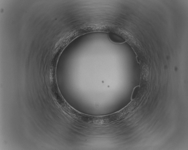 X0000073490740200608211649