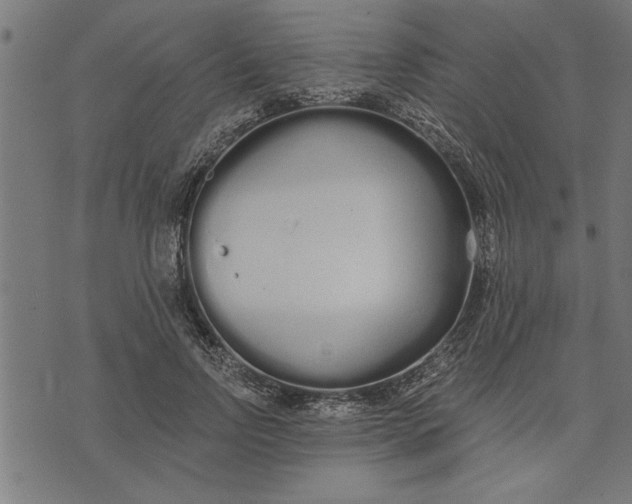 X0000073490742200608211649